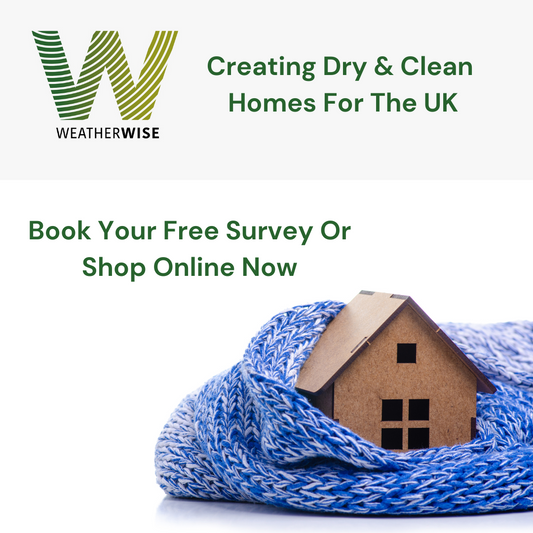 Hiring a Damp Specialist for Your Home: Why Choose Weather Wise Solutions