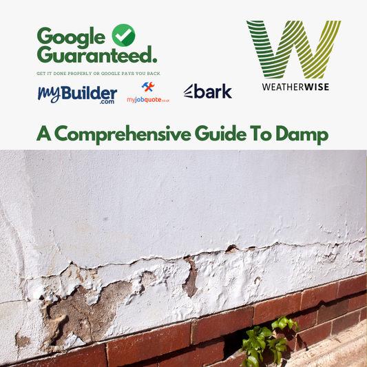 Understanding and Treating Damp: A Comprehensive Guide