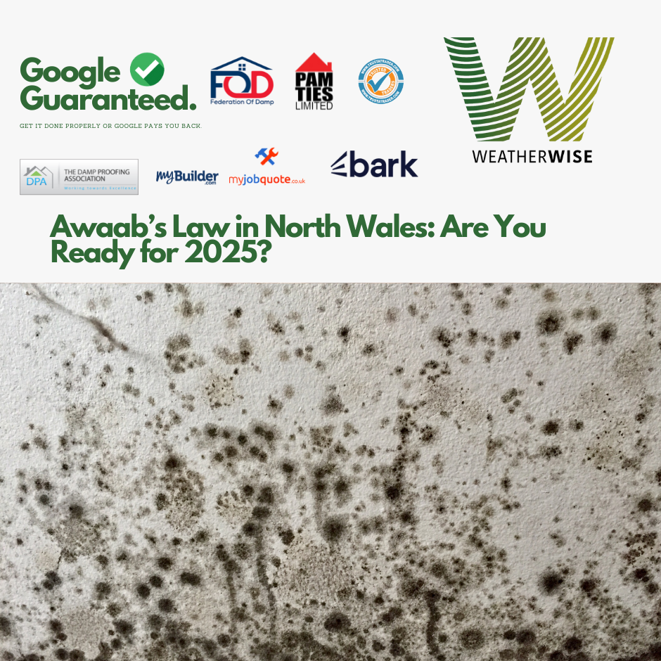 awaabs-law-north-wales-landlord-compliance-guide-2025