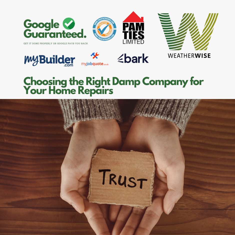 Choosing the Right Damp Company for Your Home Repairs