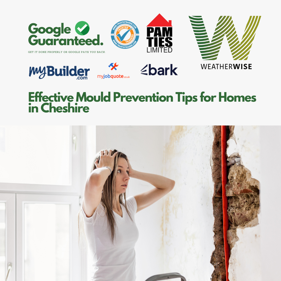 Effective Mould Prevention Tips for Homes in Cheshire