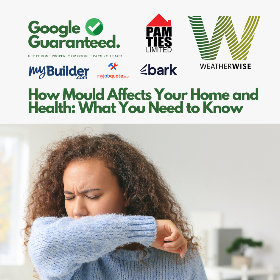 How Mould Affects Your Home and Health: What You Need to Know