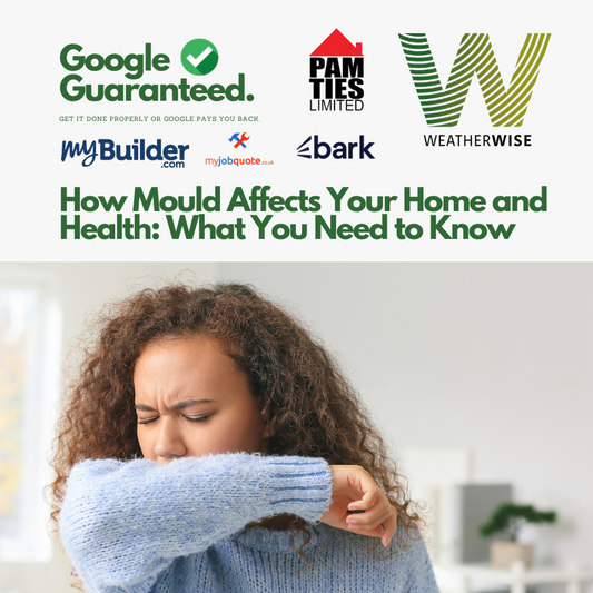 How Mould Affects Your Home and Health: What You Need to Know
