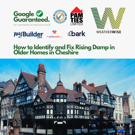 How to Identify and Fix Rising Damp in Older Homes in Cheshire