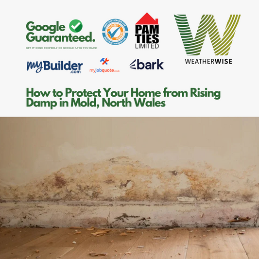 Rising_Damp_Treatment_Weather_Wise_Solutions_Limited