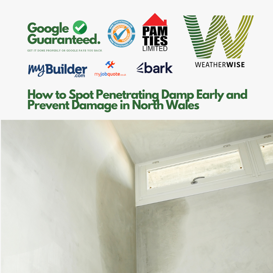 How to Spot Penetrating Damp Early and Prevent Damage in North Wales