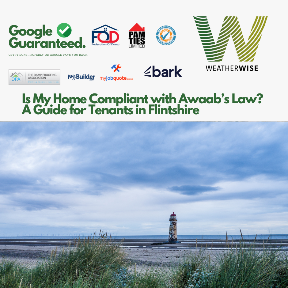 awaabs-law-compliance-flintshire-tenants-guide