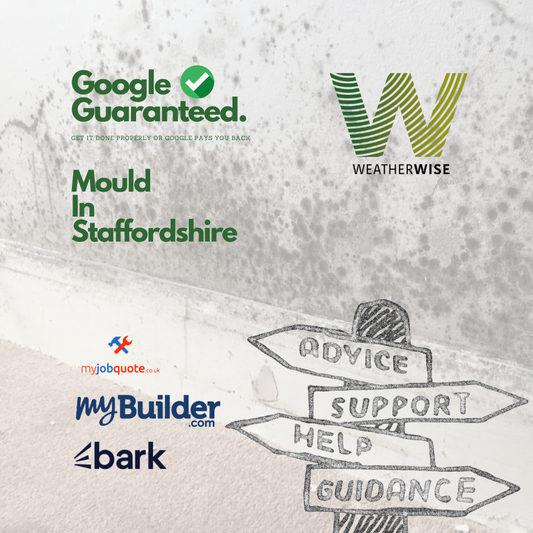 The Growing Concern of Mould in Staffordshire Homes