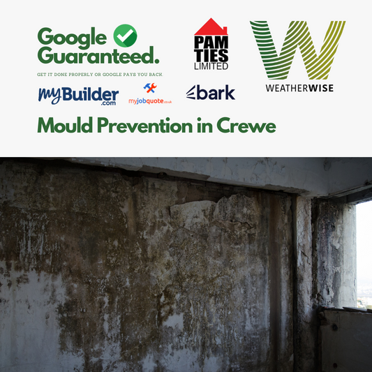 Mould Prevention in Crewe: How Homeowners Can Benefit from a Free Damp Survey