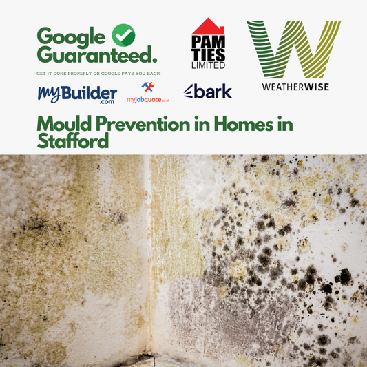 Mould Prevention in Homes in Stafford: How Ventilation Systems and Mould Removal Products Can Keep Your Home Healthy
