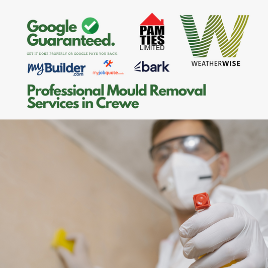 Professional Mould Removal and Prevention Services in Crewe: Protect Your Home and Health with Weather Wise Solutions