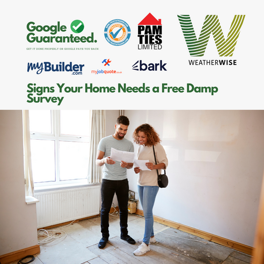 Signs Your Home Needs a Free Damp Survey
