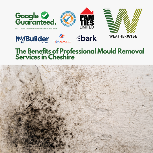 The Benefits of Professional Mould Removal Services in Cheshire