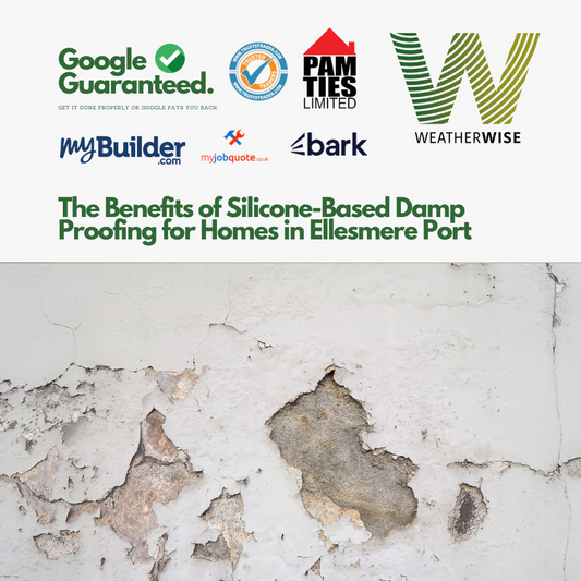 Rising_Damp_Specialists_Weather_Wise_Solutions_Limited