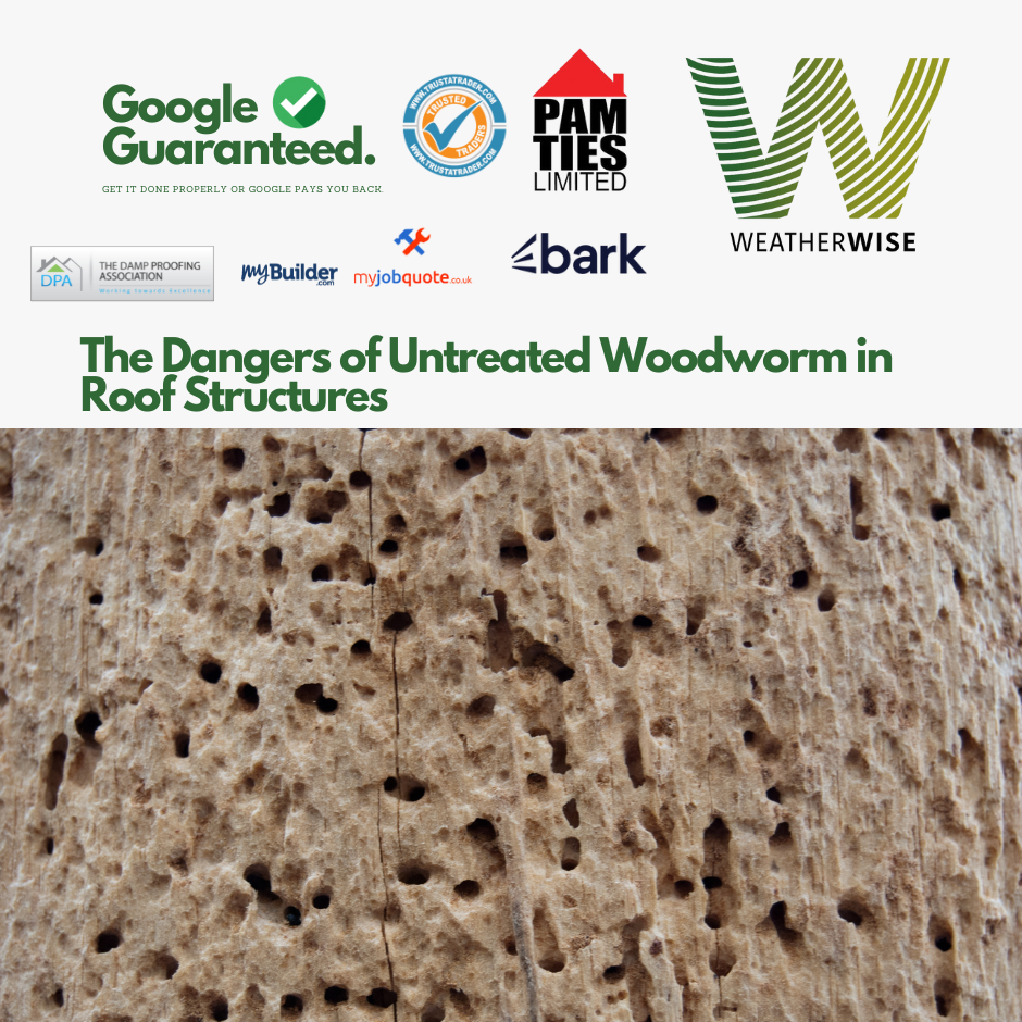 Woodworm_Roof_Timbers_Damage_Prevention_Weather_Wise_Solutions