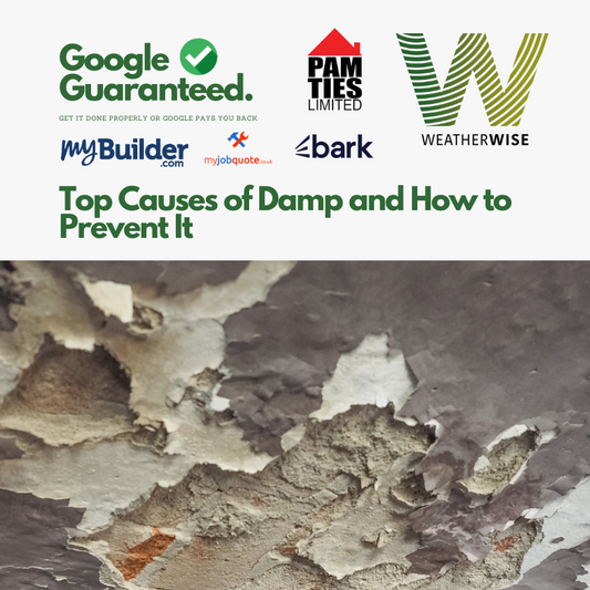 Top Causes of Damp and How to Prevent It