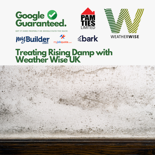 Damp Proofing Solutions in Cheshire: How a Free Damp Survey Can Protect Your Home