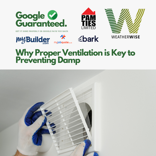 Why Proper Ventilation is Key to Preventing Damp