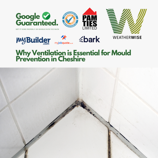 Why Ventilation is Essential for Mould Prevention in Cheshire
