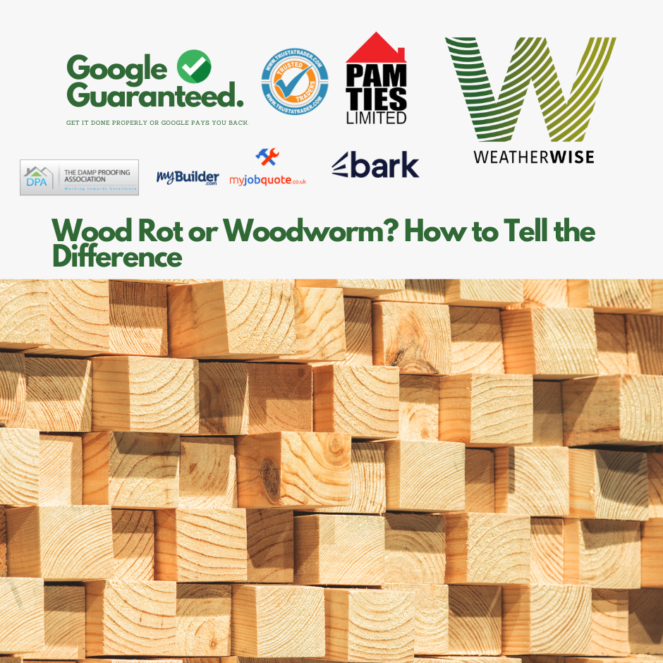 Wood_Rot_or_Woodworm_How_to_Tell_the_Difference