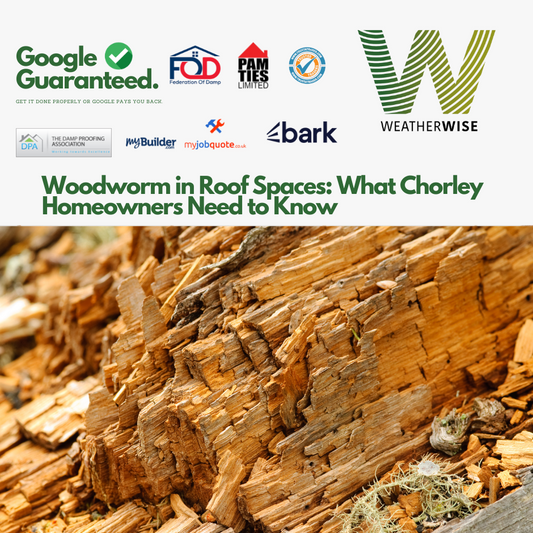 Woodworm_in_Roof_Spaces_What_Chorley_Homeowners_Need_to_Know