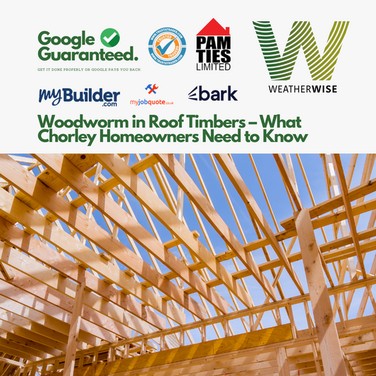 woodworm-roof-timbers-chorley-weather-wise-solutions-limited