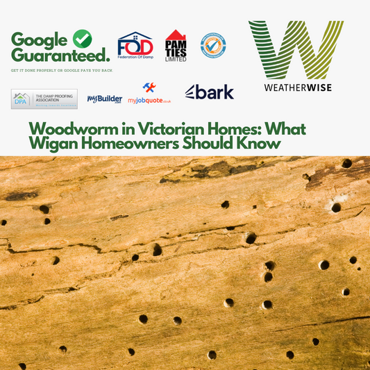 woodworm-in-victorian-homes-what-wigan-homeowners-should-know