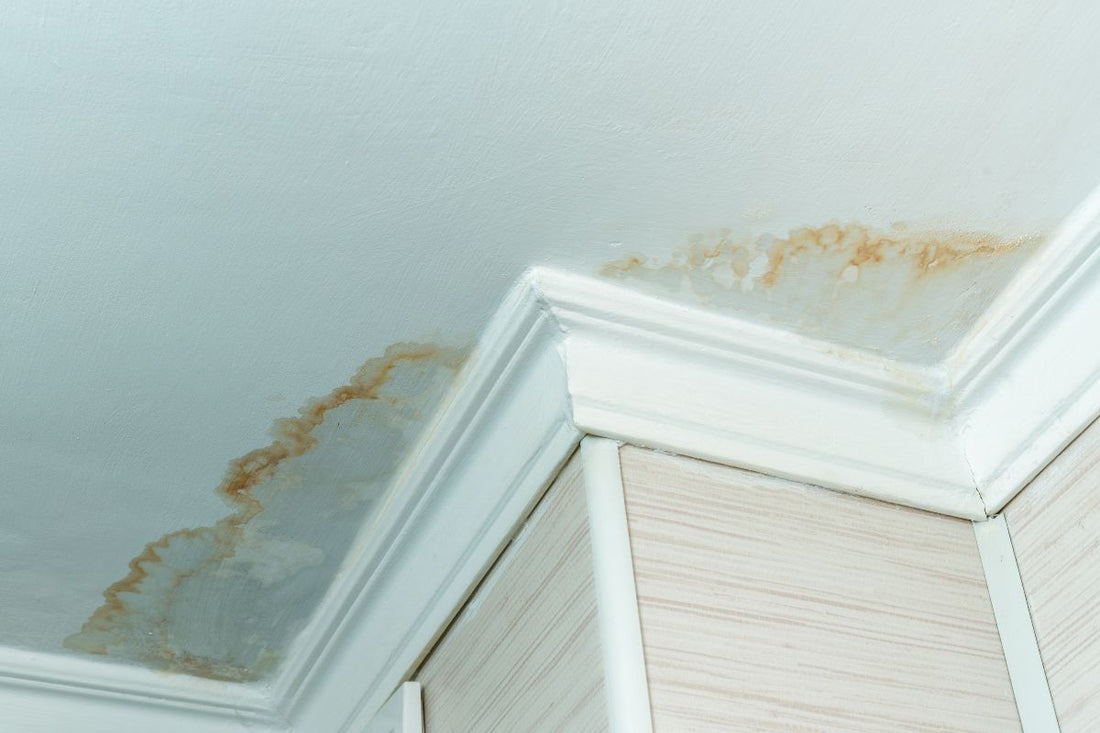 IICRC Certification for Water Damage Restoration in Stoke-on-Trent