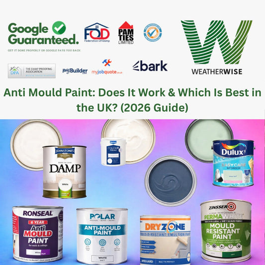 Collection of anti-mould and damp proof paints with different colors for walls and home protection
