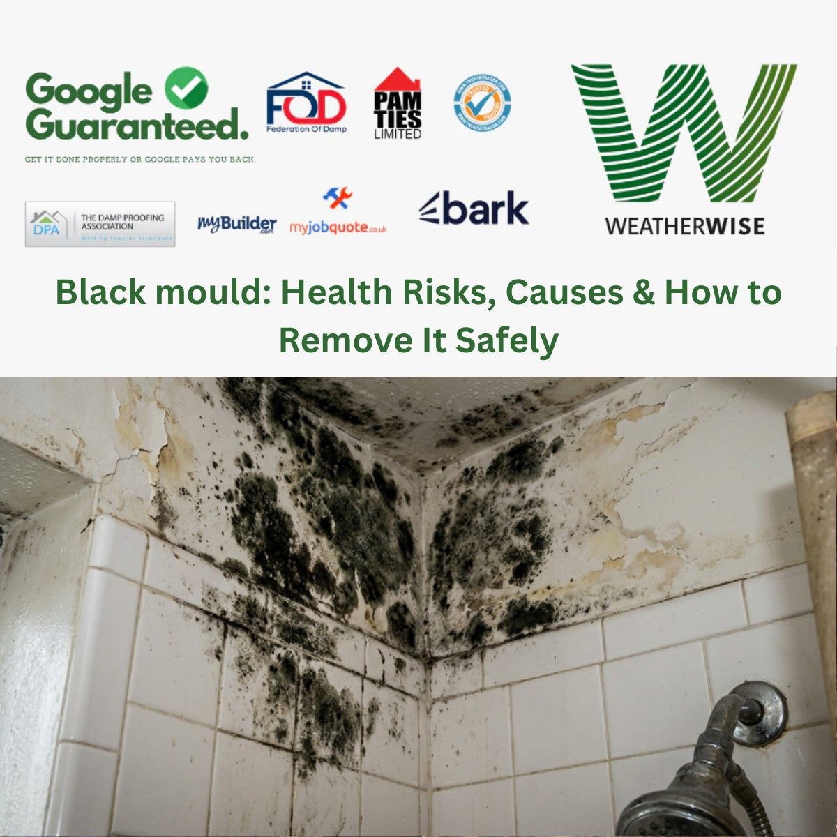 Black mould: Health Risks, Causes & How to Remove It Safely