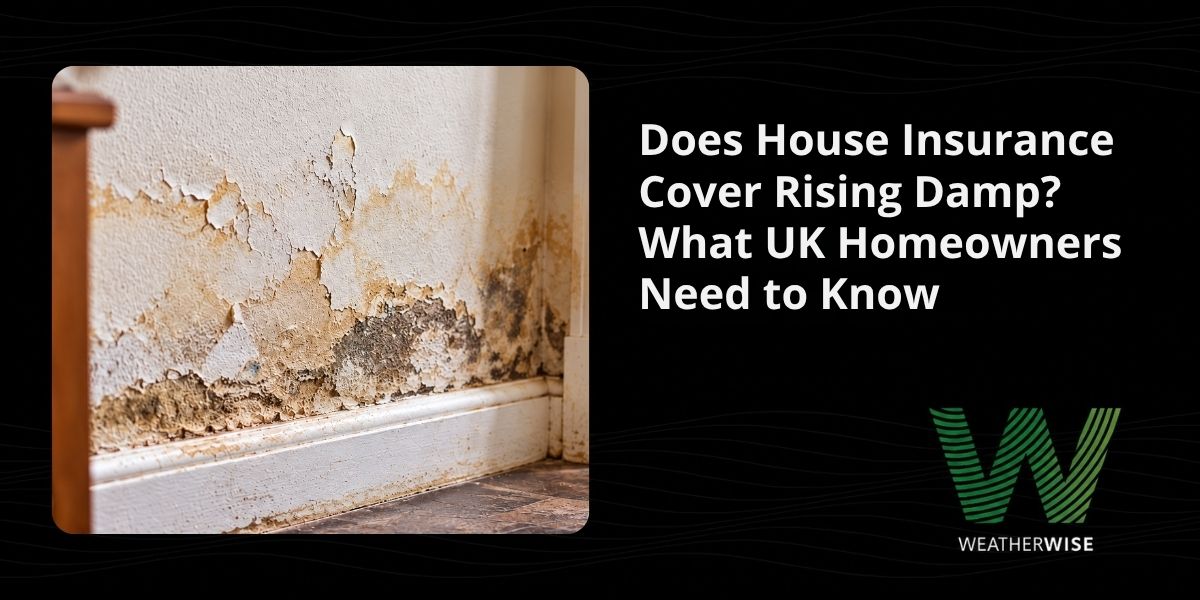 Does House Insurance Cover Rising Damp? What UK Homeowners Need to Know