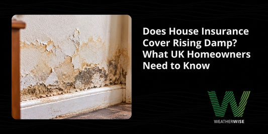 Does House Insurance Cover Rising Damp