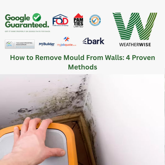 Black mold growing on wall corner near window frame moisture damage