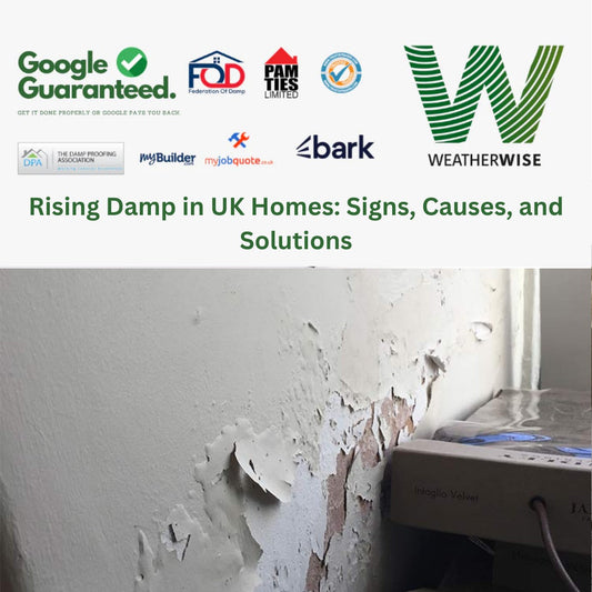 Peeling wall paint and plaster damage caused by moisture and dampness