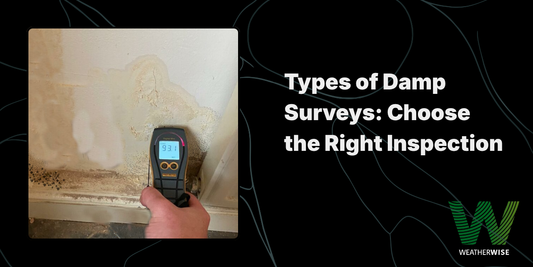 Damp survey with moisture meter