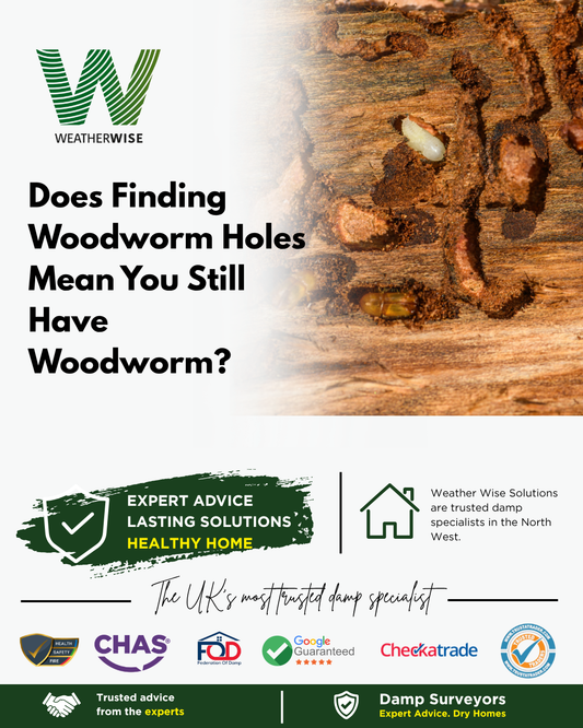 woodworm-holes-active-infestation-warrington-weather-wise-solutions-limited