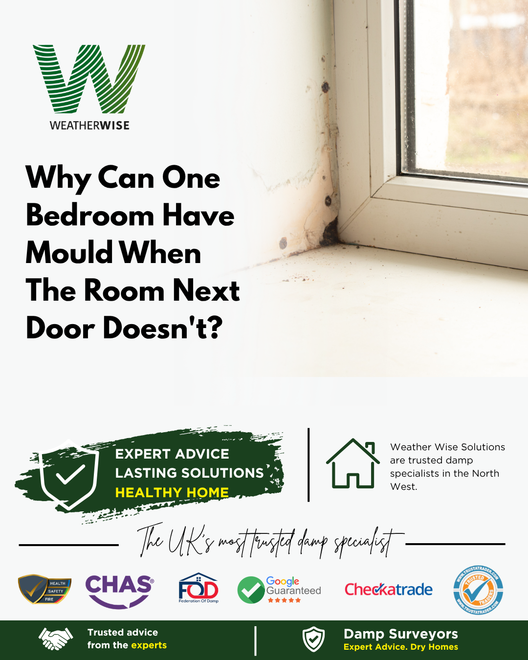 mould-one-bedroom-knutsford-weather-wise-solutions-limited