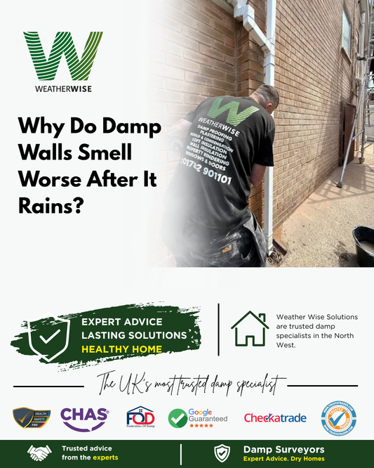 why-do-damp-walls-smell-worse-after-it-rains-manchester-weather-wise-solutions-limited