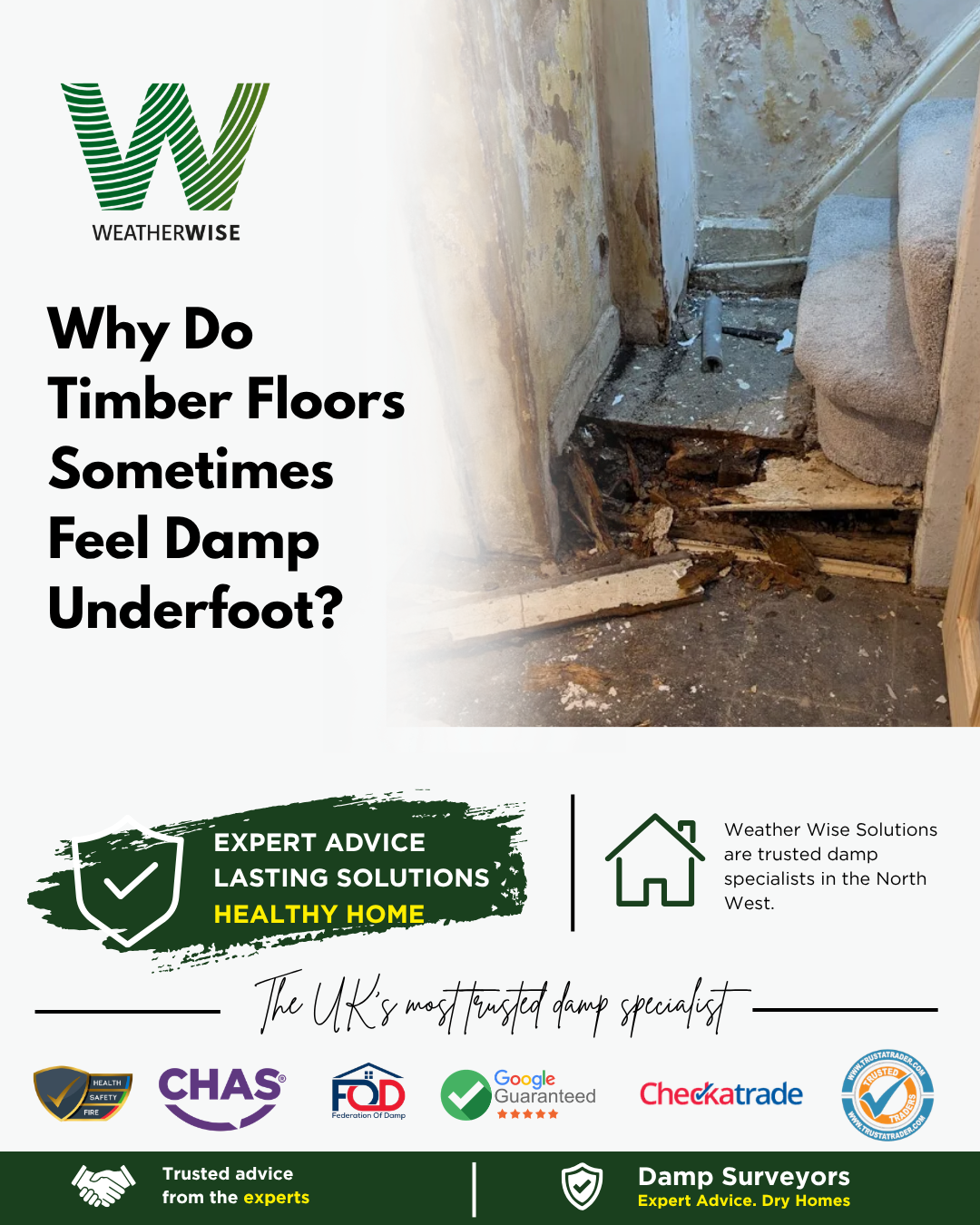Why Do Timber Floors Sometimes Feel Damp Underfoot?