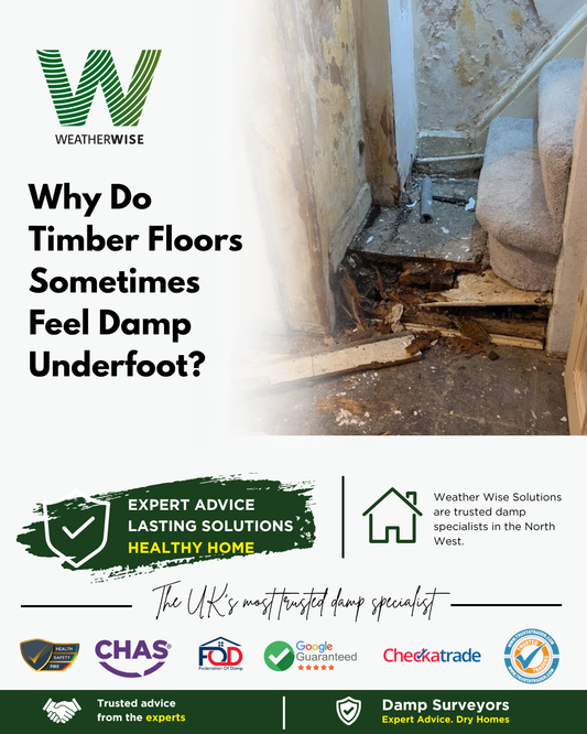 Why Do Timber Floors Sometimes Feel Damp Underfoot?