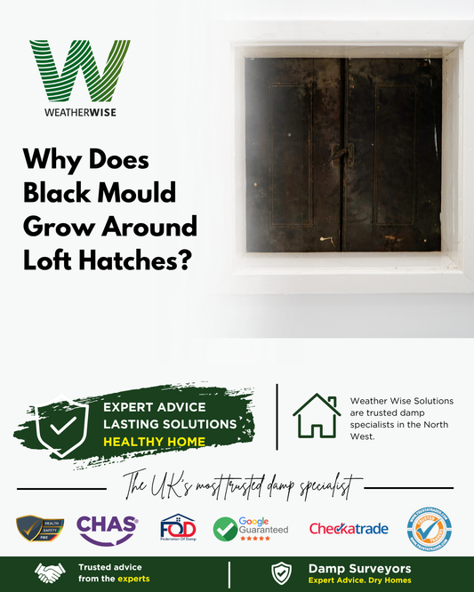 why-does-black-mould-grow-around-loft-hatches-preston-weather-wise-solutions-limited