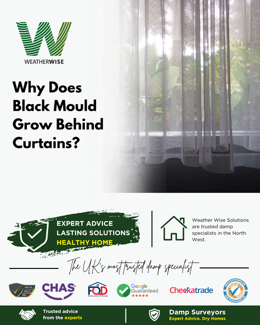 why-does-black-mould-grow-behind-curtains-preston-weather-wise-solutions-limited