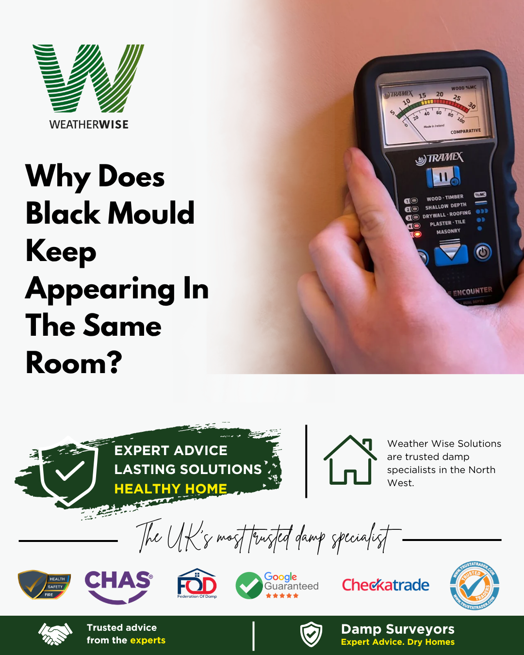 why-does-black-mould-keep-appearing-in-the-same-room-stoke-on-trent-weather-wise-solutions-limited