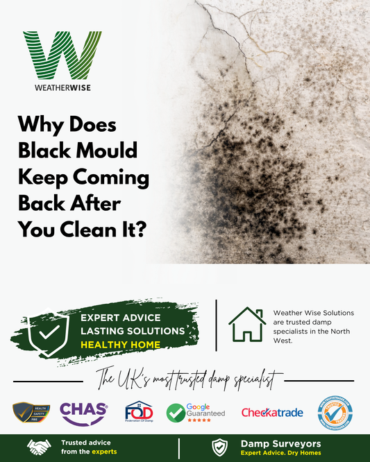 why-does-black-mould-keep-coming-back-after-you-clean-it-chester-weather-wise-solutions-limited