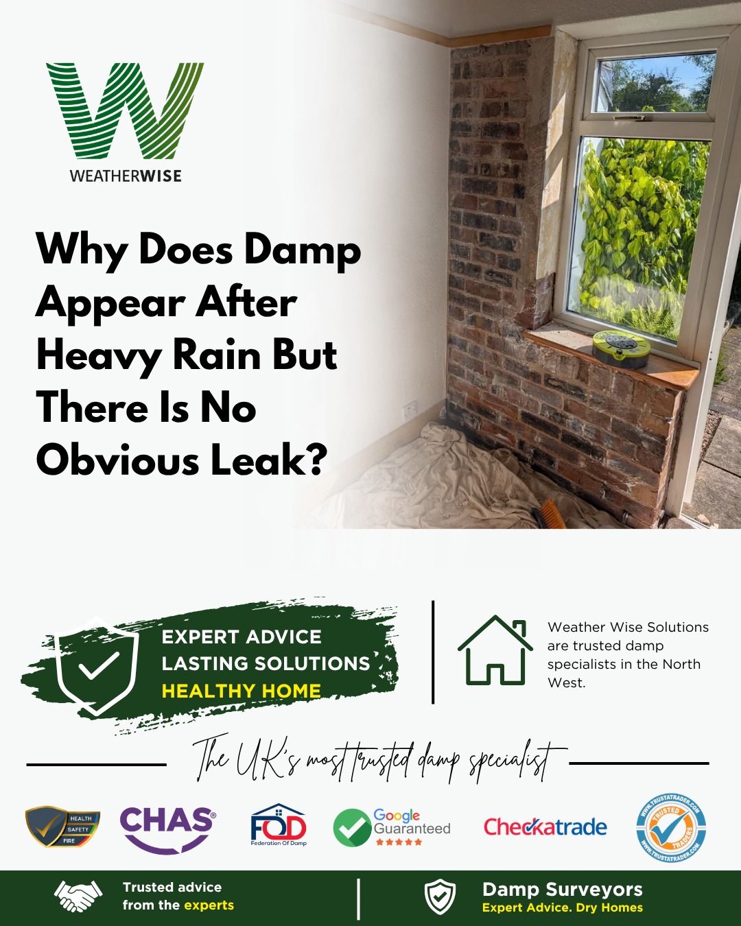 damp-after-heavy-rain-no-obvious-leak-wrexham-weather-wise-solutions-limited