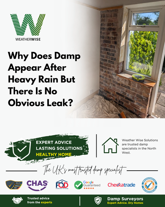 damp-after-heavy-rain-no-obvious-leak-wrexham-weather-wise-solutions-limited