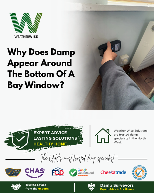 damp-around-bay-window-shrewsbury-weather-wise-solutions-limited