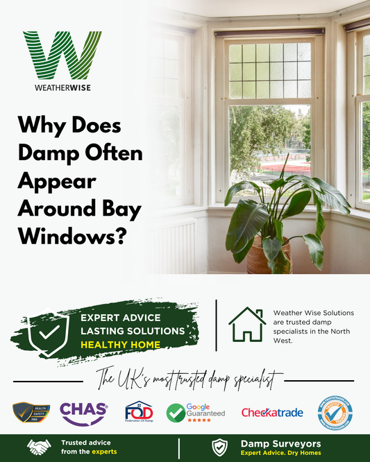 damp-around-bay-windows-stoke-on-trent-weather-wise-solutions-limited