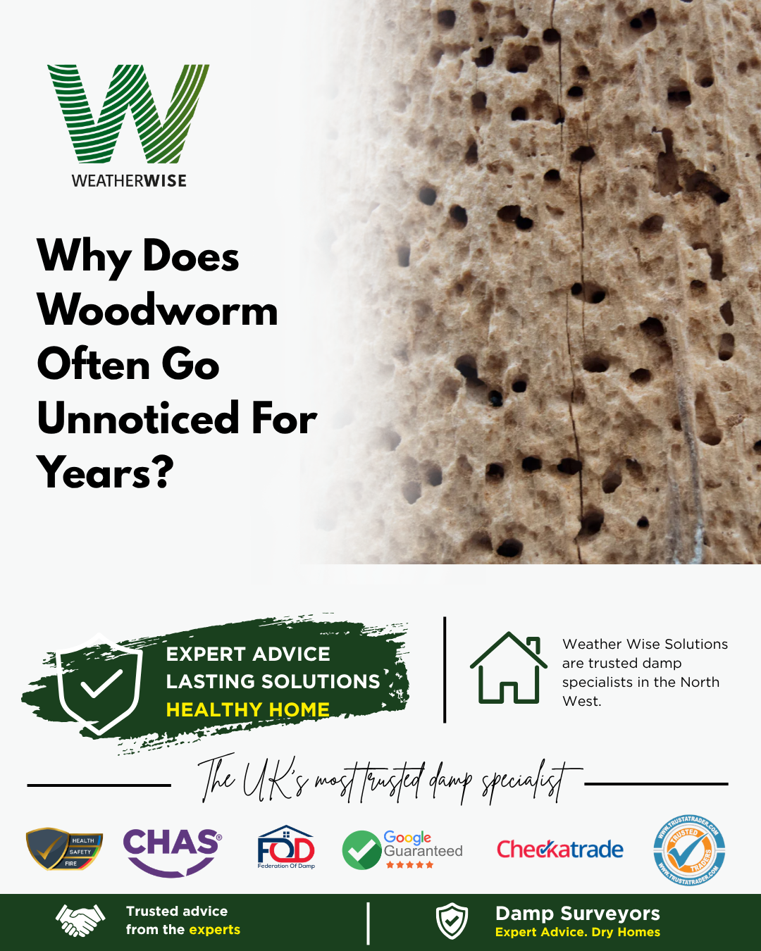 Why Does Woodworm Often Go Unnoticed For Years?