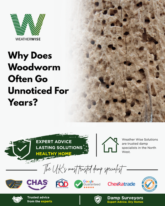 Why Does Woodworm Often Go Unnoticed For Years?